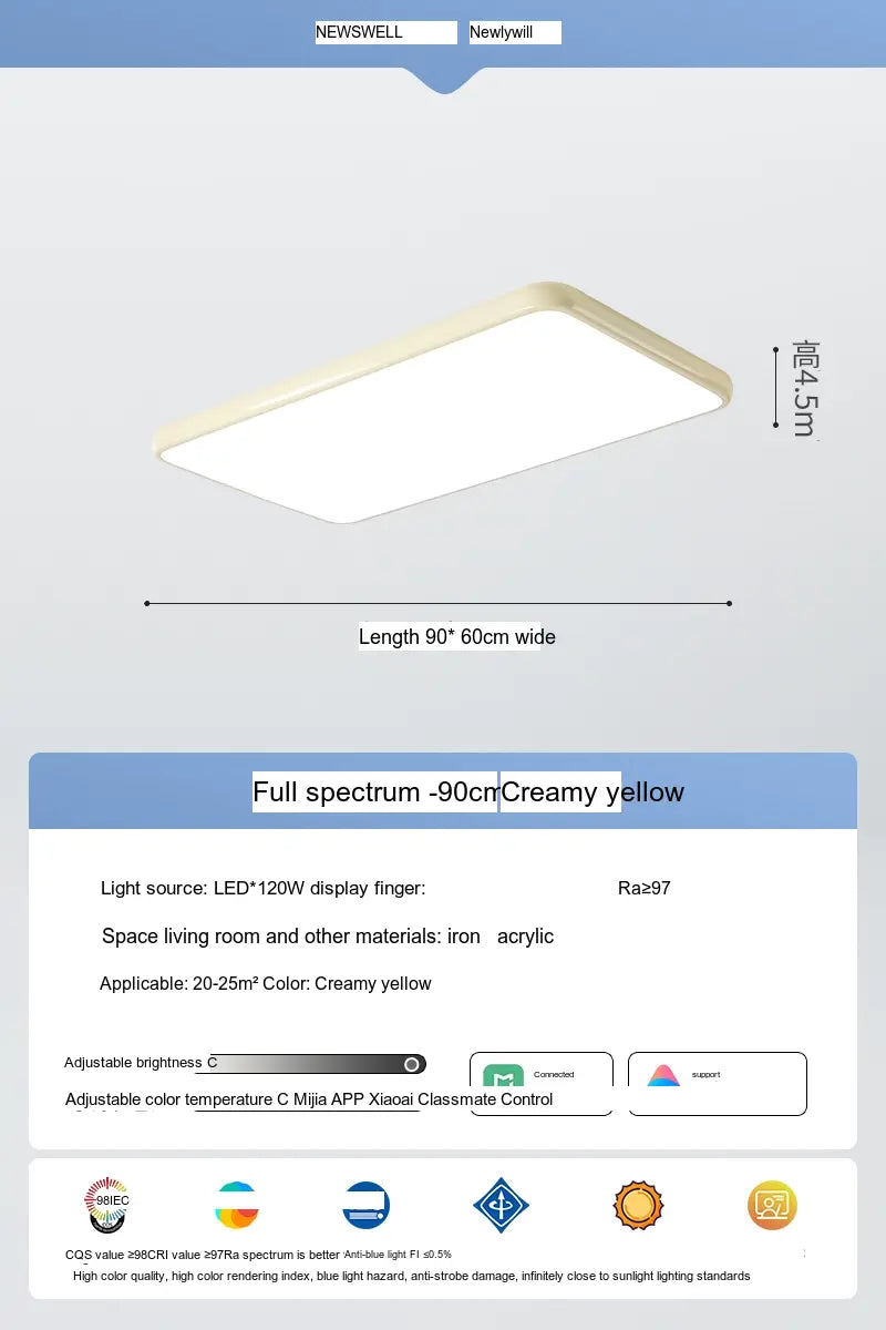 NEWVILLE Aisthea Elegant Minimalist Ceiling Light