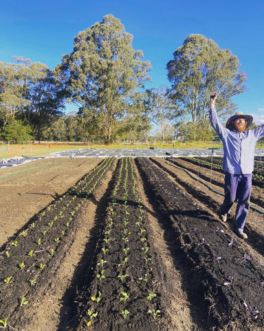 Beds planted and very happy