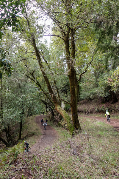 gravel biking california old cazadero steel gravel bike