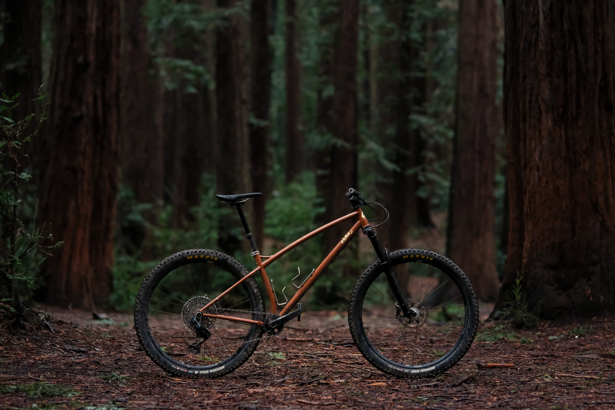 sklar tall tale mountain bike