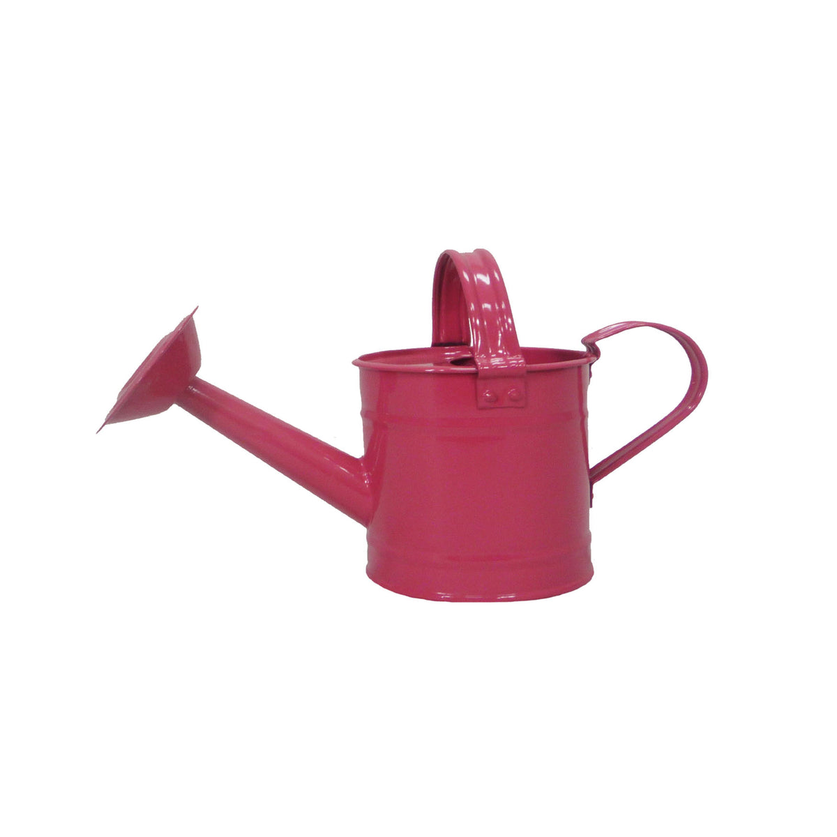 1 pt Mixed Case Kids Metal Watering Cans