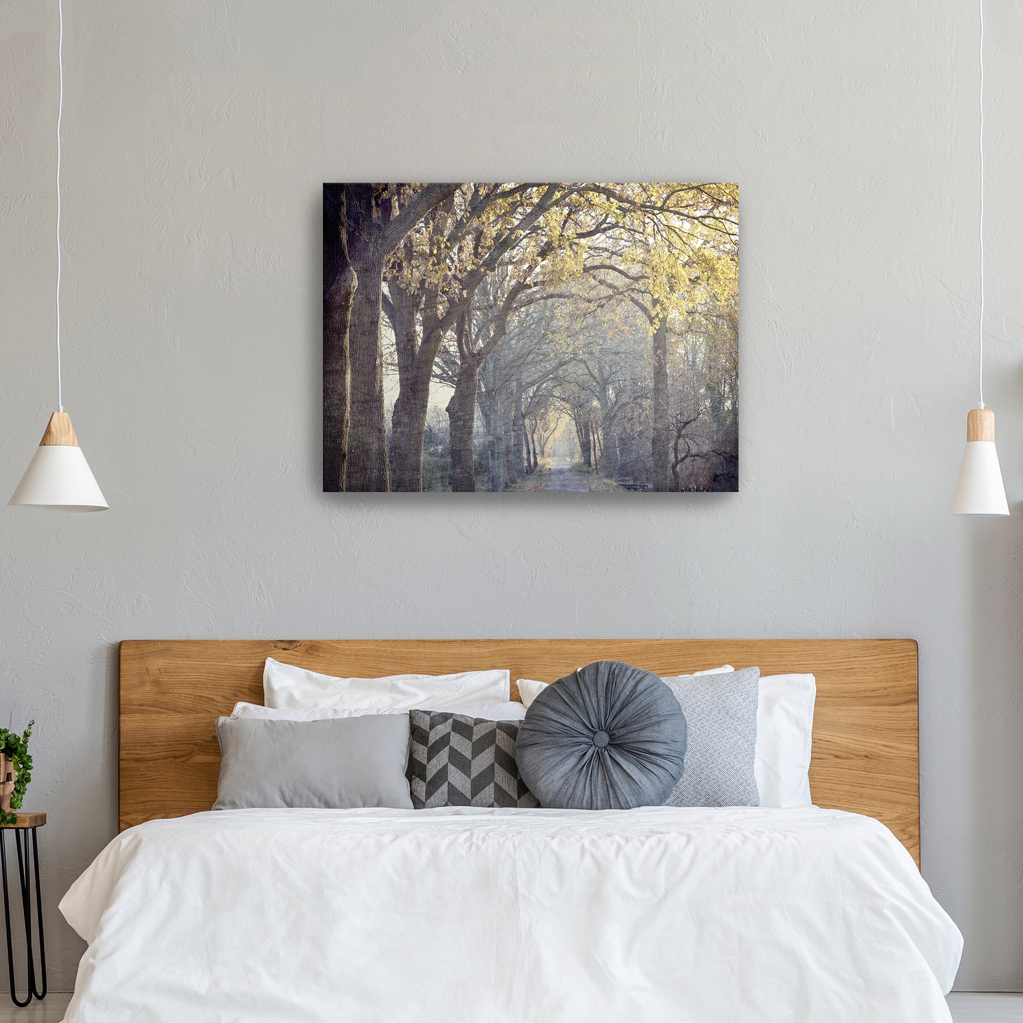 Avenue of Trees