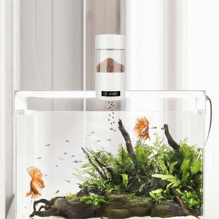 Automatic Fish Feeder with smart timer for aquarium and fish tank - stokuk.com