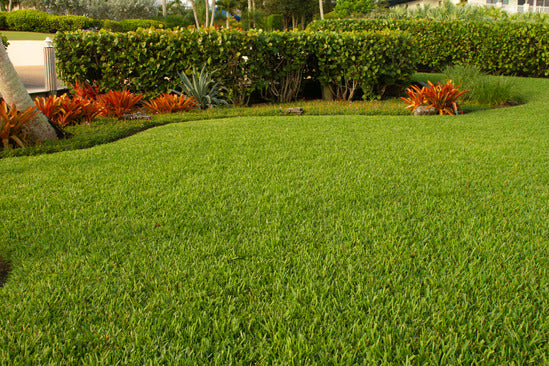 A well-maintained lawn with Bethel Farms Premium Sod, showcasing reduced treatment costs and lower maintenance.
