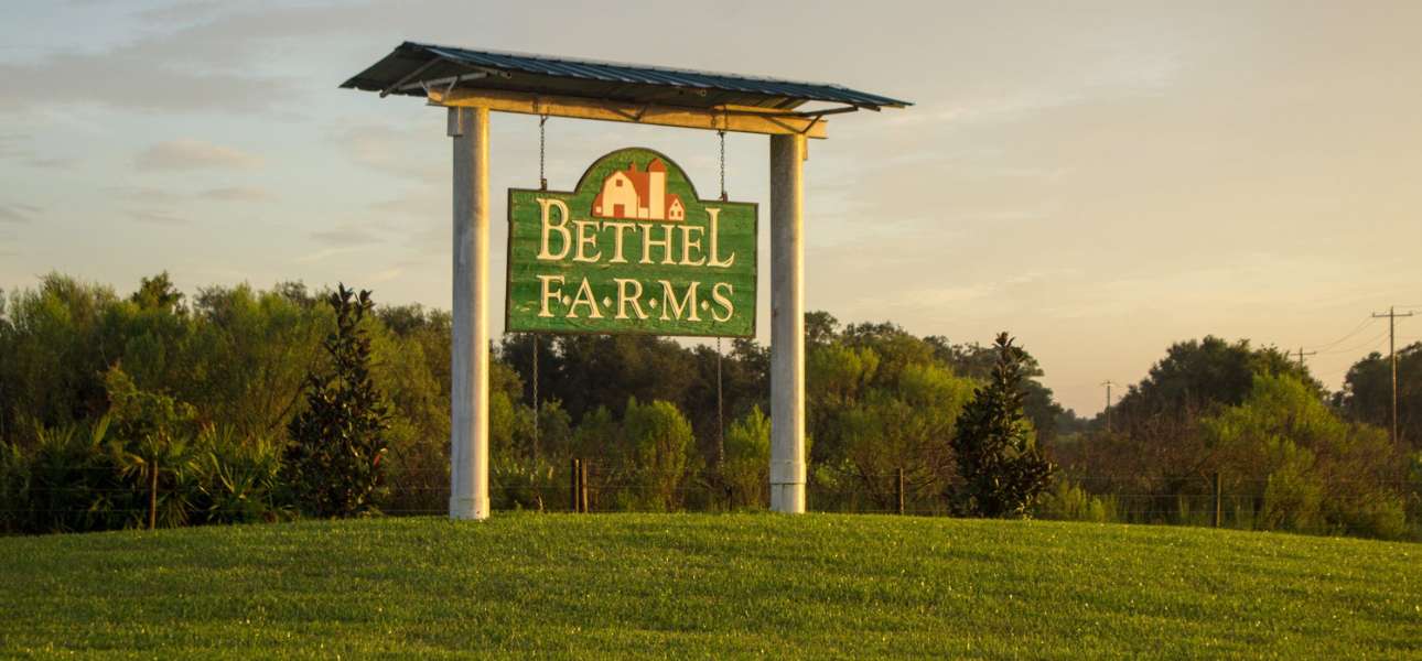 bethel-farms-sod-supplier-florida