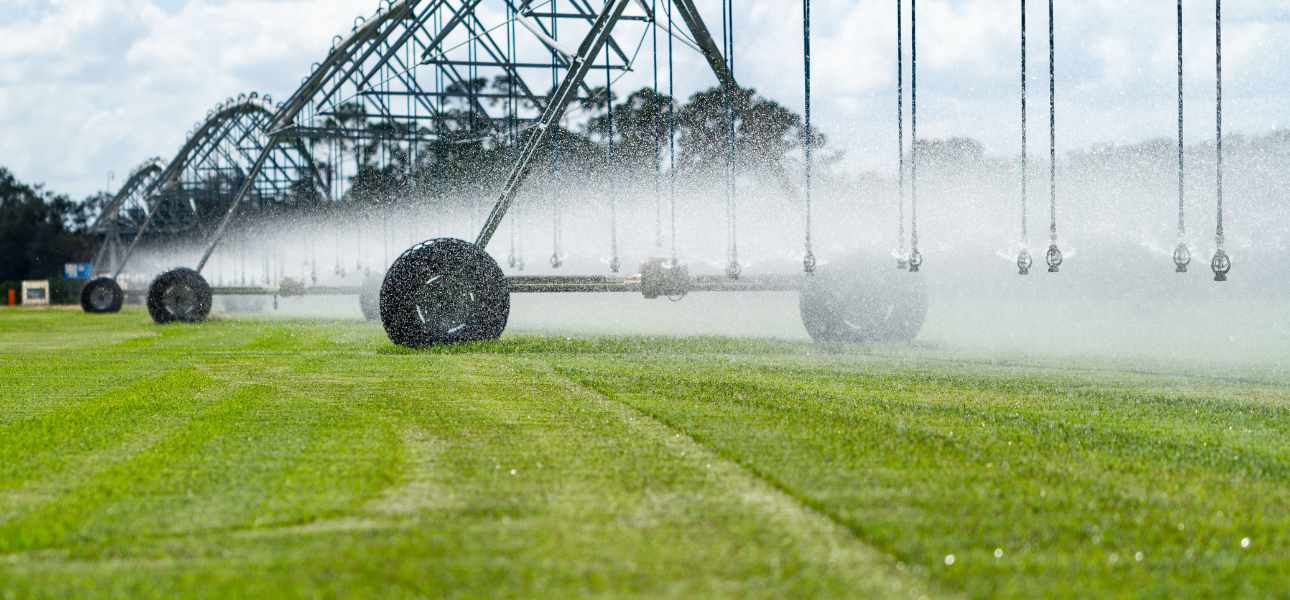 grass-for-sale-bethel-farms