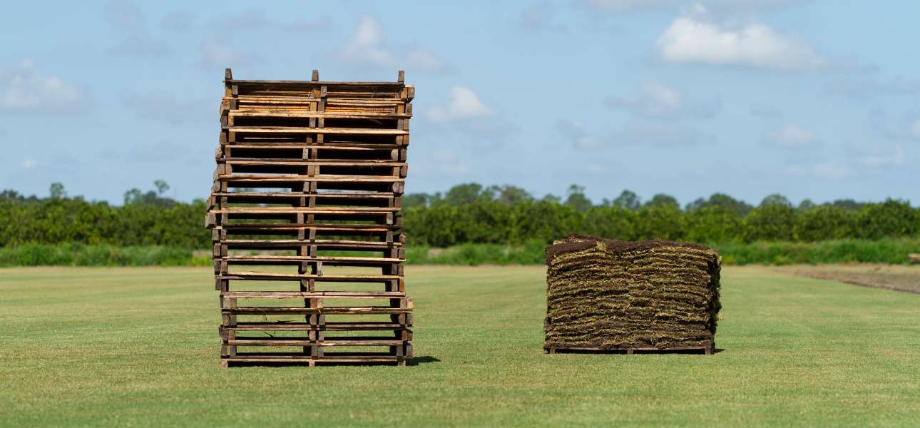 grass-sod-at-bethel-farms