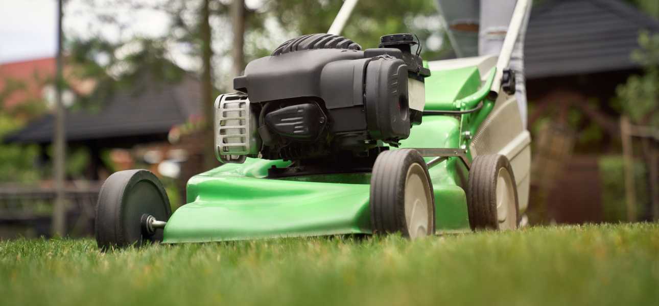 how-to-prepare-lawn-for-vacation-mow