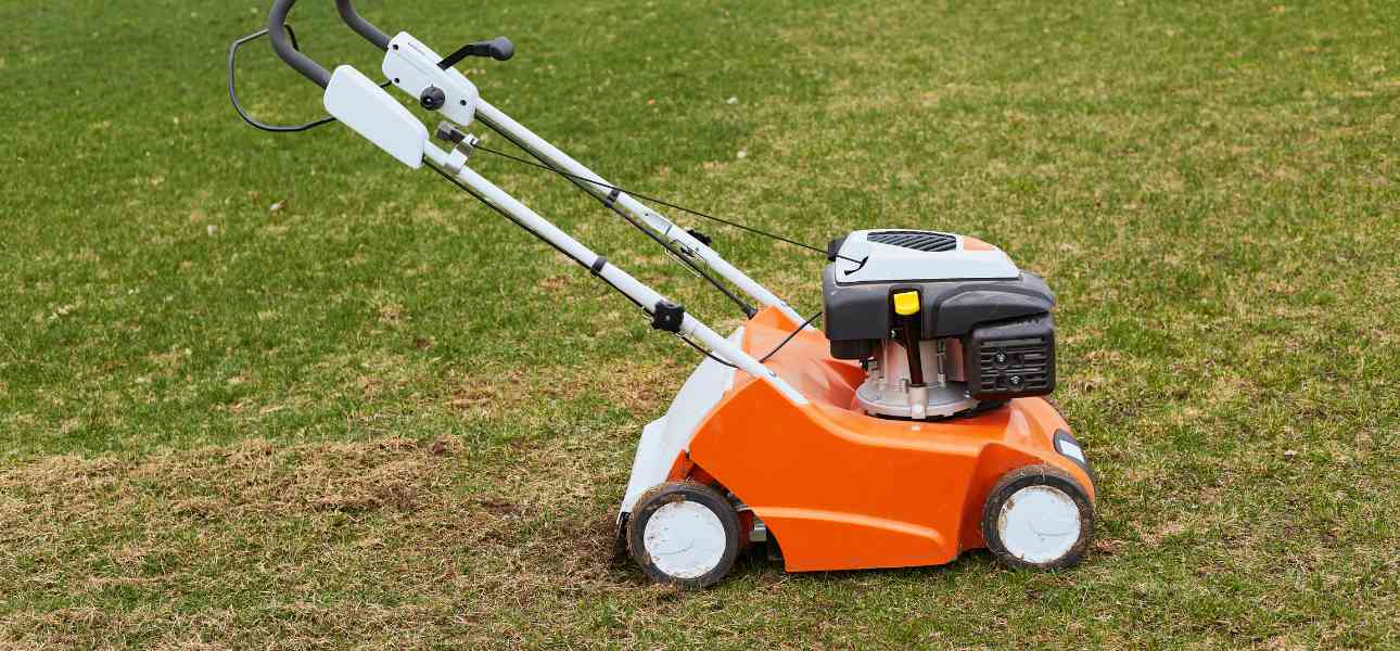 lawn-care-in-winter