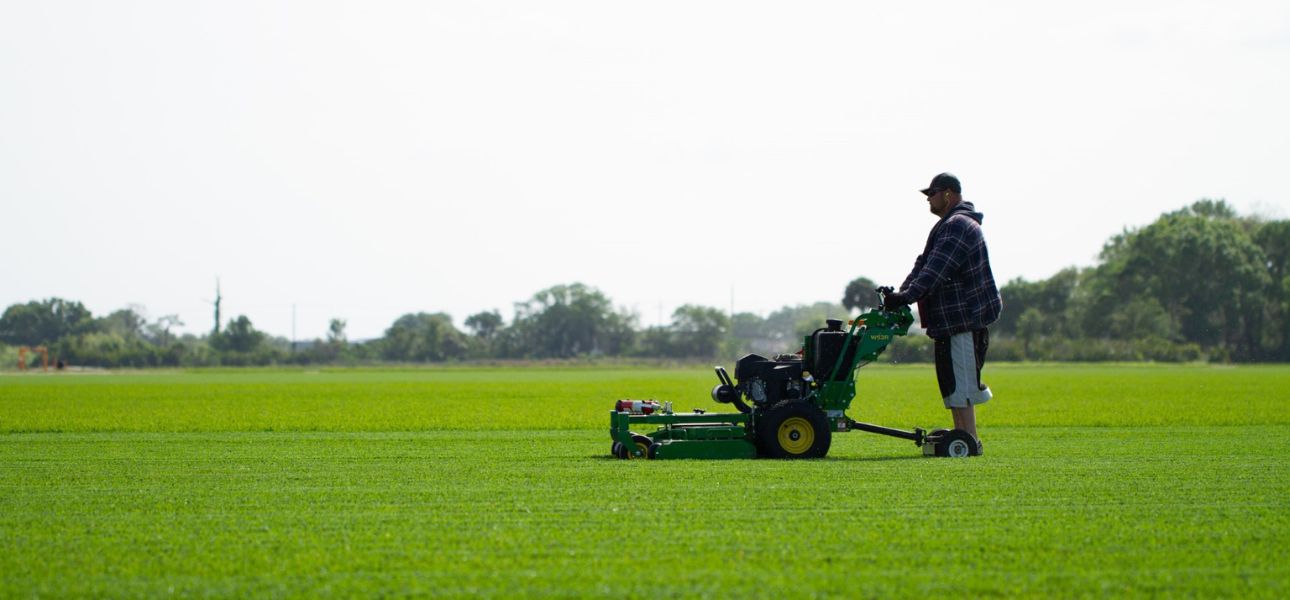 mowing-practices-for-sustainable-lawn