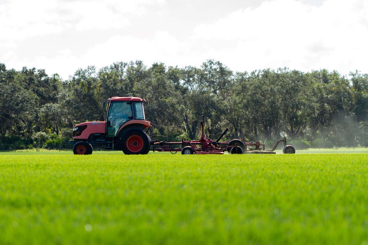 sod-for-sale-central-florida