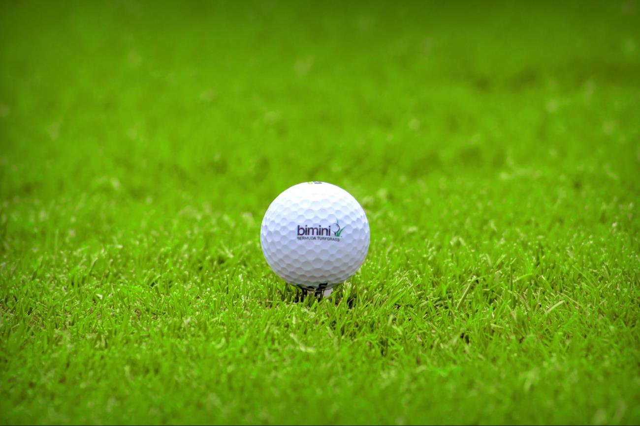 what-makes-high-quality-golf-grass