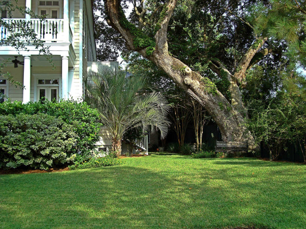 Sod Gardening landscaping that brings the spirit of the season to life.