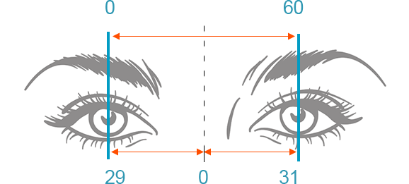 Measure Pupillary Distance