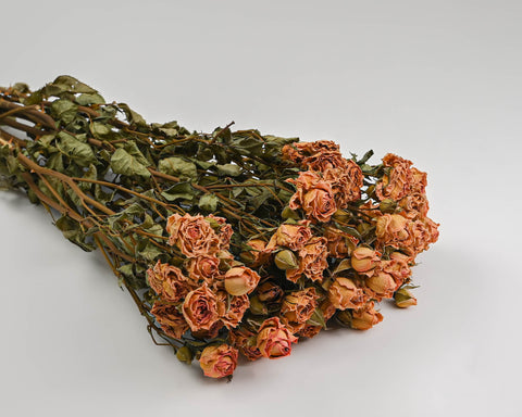  Dried Roses With Stems