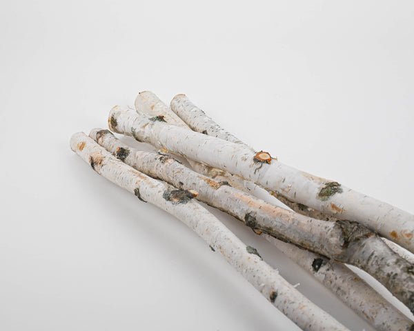 Dried natural birch twig - with long straight branches without leaves -  golden color - ميساكي Mesaky