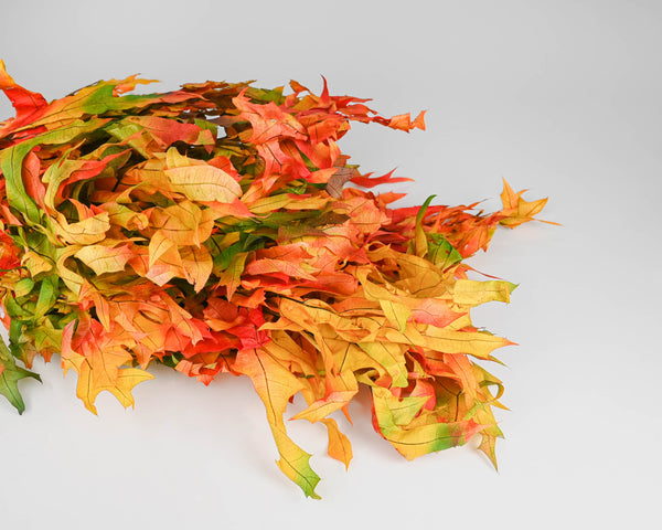 Preserved Autumn Oak Leaves, 1LB Decorative, Pressed, Dried Leaves