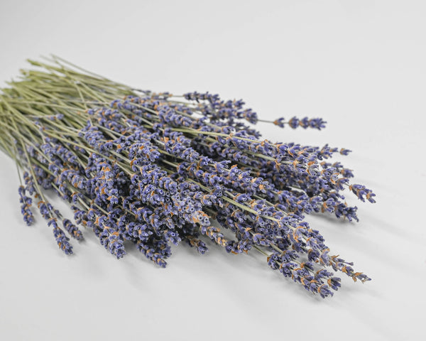 Greek Dried Lavender Bunch 3000 stems 300*10 Bunches 30-32cm