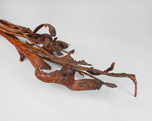 Dried Grapewood Branch, Decorative Objects