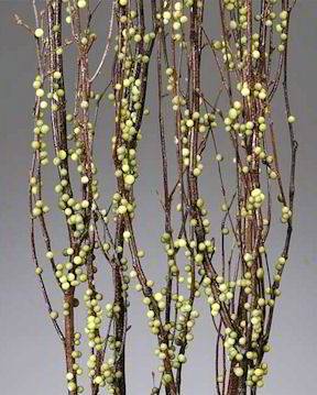 Berry Birch Branches for Decoration