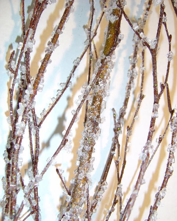 Ice Crystal Birch Branches