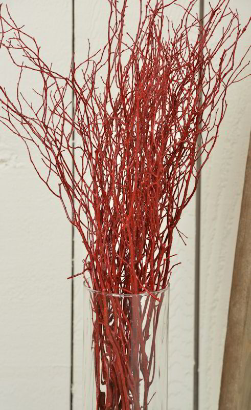 Sweet Huck Branches - Fire Red Huge 8oz Huckleberry bunch