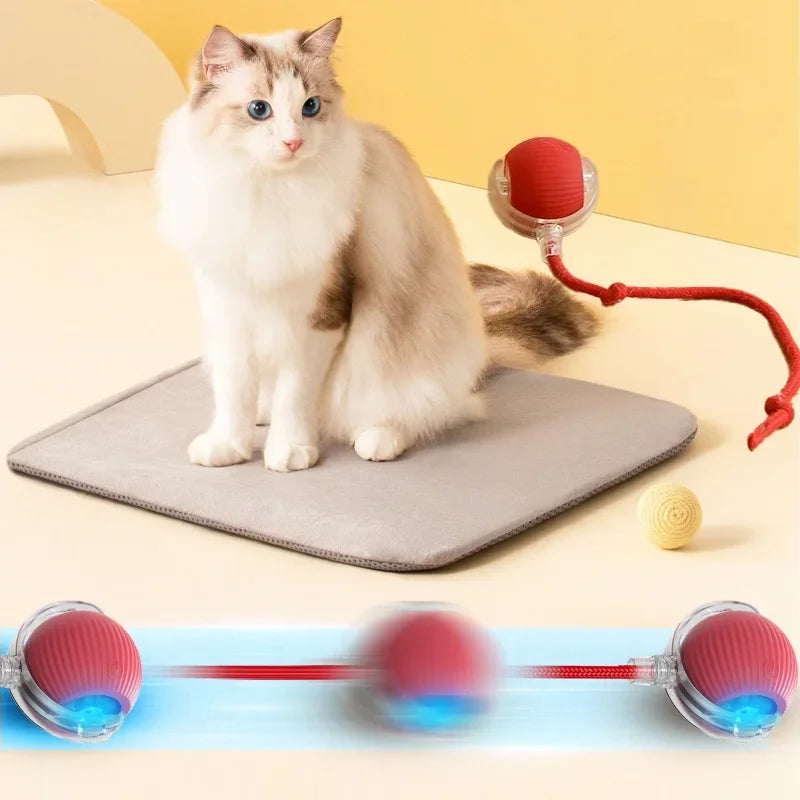 Smart Rolling Cat Ball | USB Rechargeable Interactive LED Toy