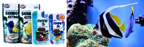 hikari marine fish coral food