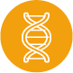 DNA SChutz.png__PID:93cce1f7-301b-4f9c-b8ed-ae55efdb2aa8