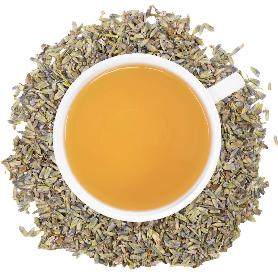 lavender tea in a white cup surrounded by dried lavender circle photo