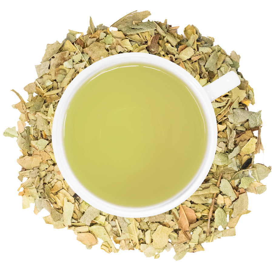 boldo tea in a white mug surrounded by dried boldo