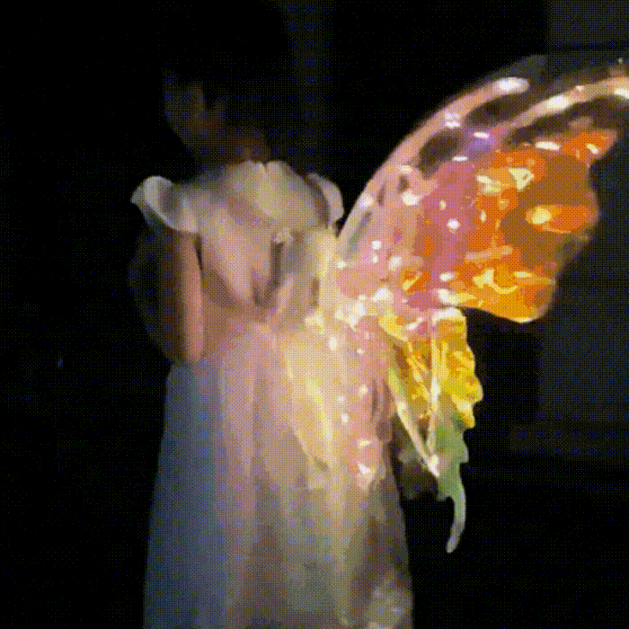 ailes de féé lumineuses