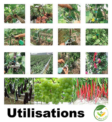 utilisation multiple pour attaches plantes