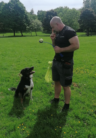 Dog with Trainer Focus