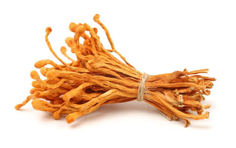 For ages, traditional Chinese and Tibetan medicine has used cordyceps mushrooms, a species of medicinal mushroom. It is known for its capacity to enhance both physical and mental performance as well as for assisting the body in coping with stress.