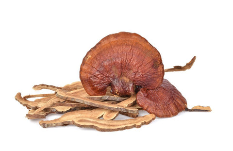 Reishi mushrooms are a particular kind of medicinal mushroom that have been utilized for millennia in traditional Chinese medicine. It is well known for its capacity to promote general health and wellbeing as well as the body's capacity to adjust to stress.