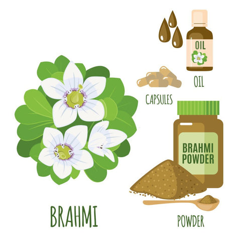 There are many ways to consume bacopa monnieri, such as supplements, teas, and tinctures.