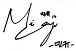 SEVENTEEN MINGYU SIGNATURE