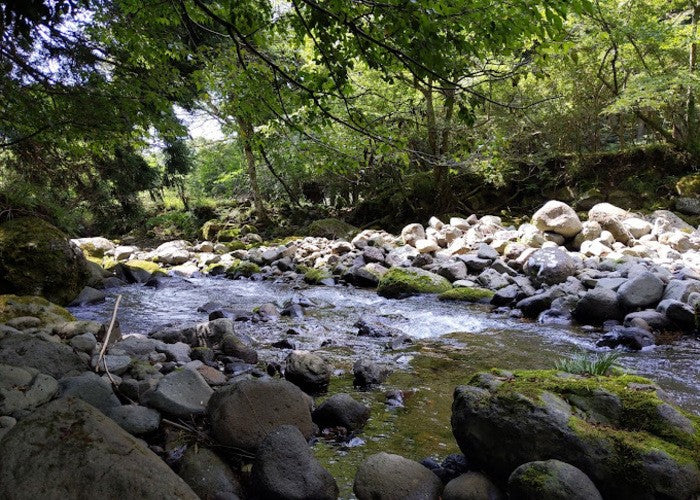 佐ヶ野オートキャンプ場