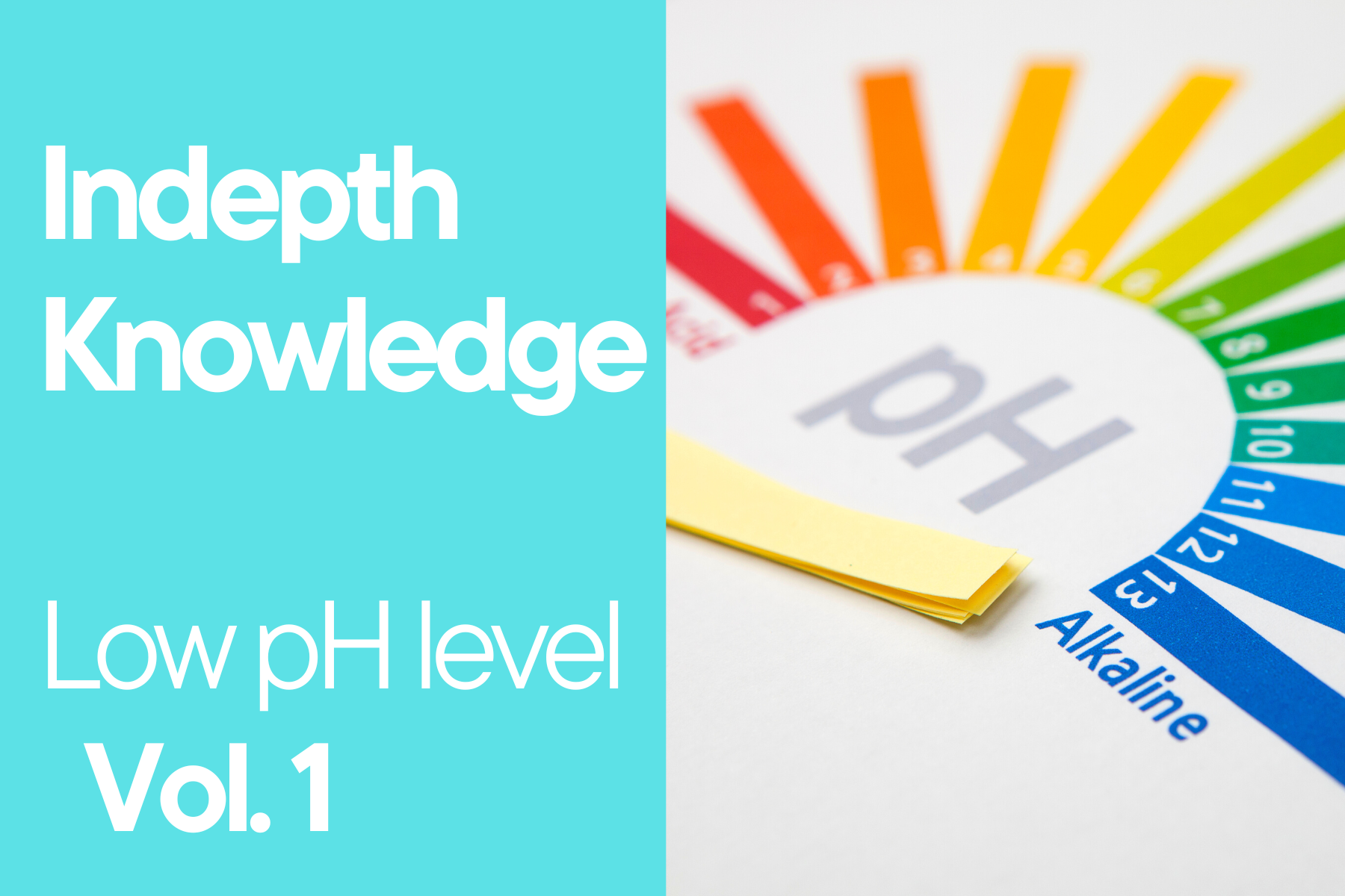 indepth-knowledge-low-ph-level-for-skincare-vol-1-best-korean-skincare