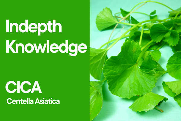 Indepth knowledge of CICA for skincare