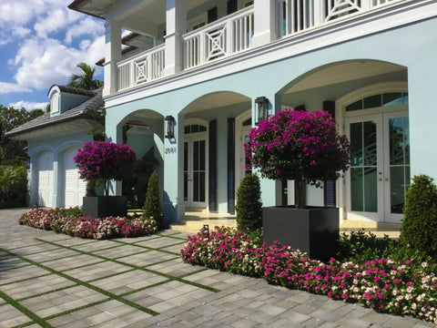 Large planters in urban spaces