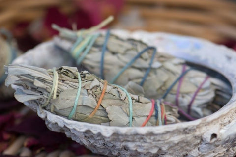 Two sage smudge sticks in a raw abalone shell