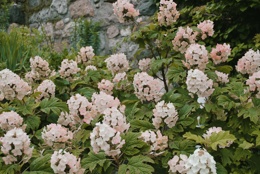 The sunken walled garden at Cranbrook House in Bloomfield Hills, MI