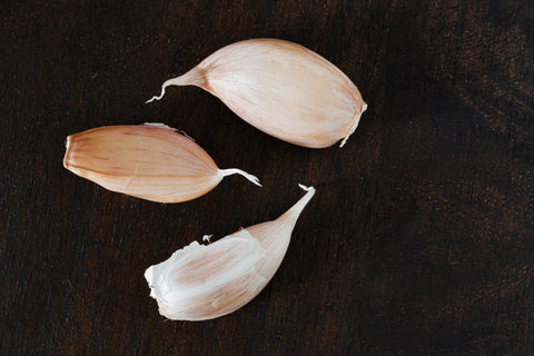 garlic infused fishing soft bait