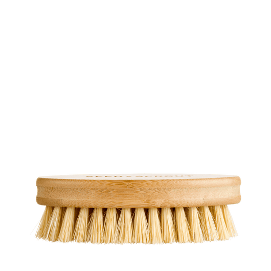 Vegetable Brush/ Cleaning Brush – ROOT and SPLENDOR