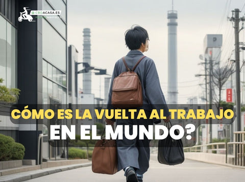 Cómo es la vuelta al trabajo en el mundo?