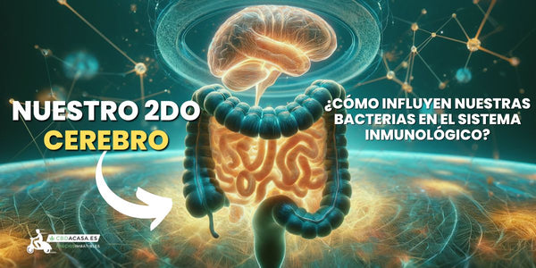 200 millones de neuronas en los intestinos