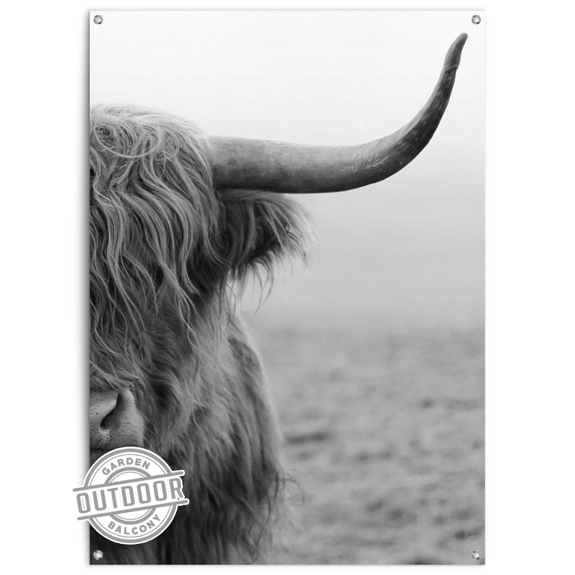 deur hoop criticus Outdoor Art Highland Cattle – Orangewallz