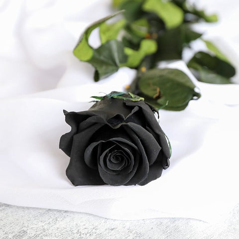 Black rose